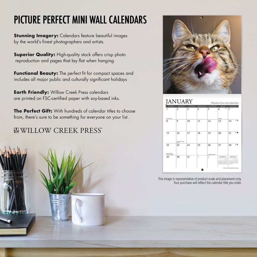 Simons Cat 2023 Mini Wall Calendar - Calendars.com