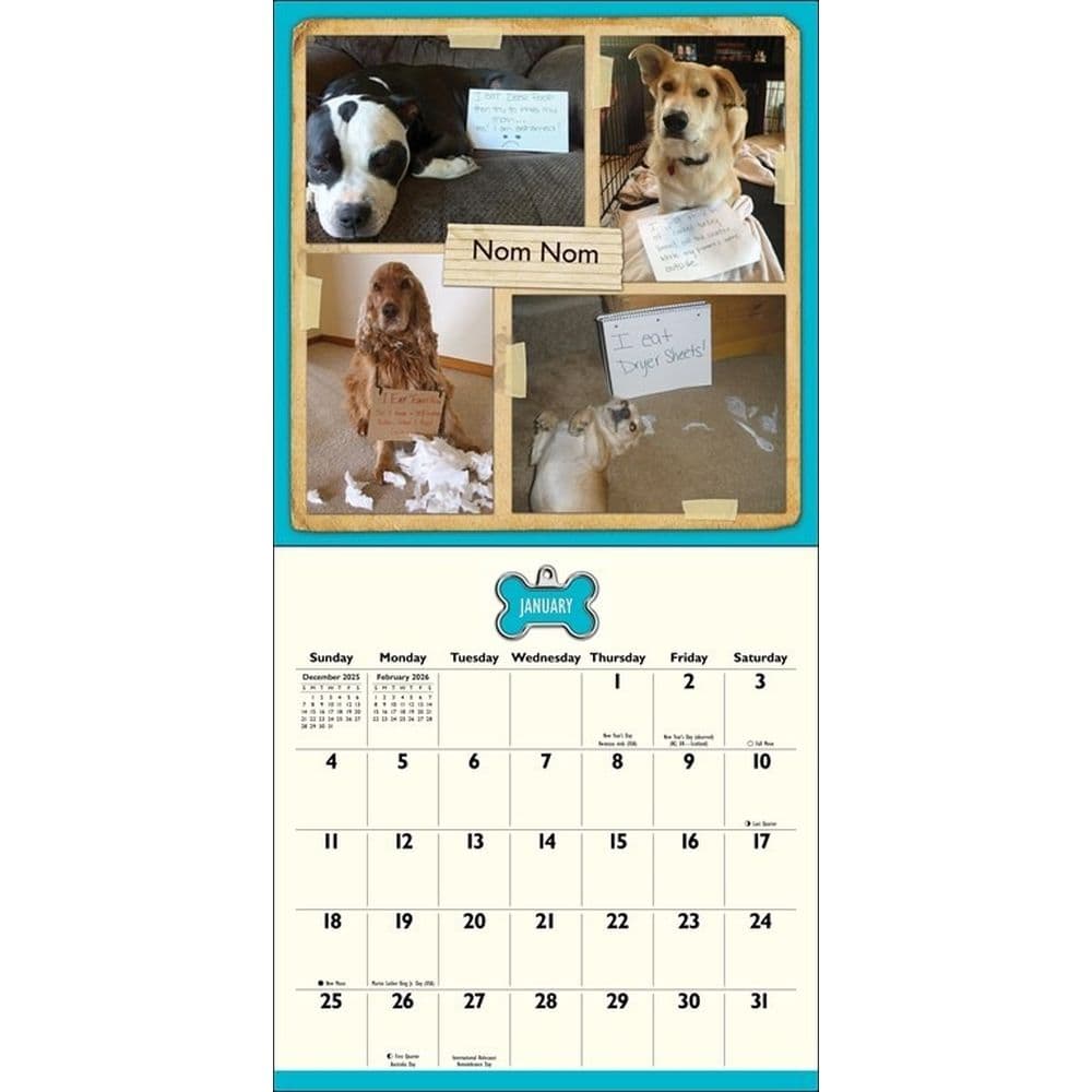 Dog Shaming 2026 Wall Calendar Second Alternate Image