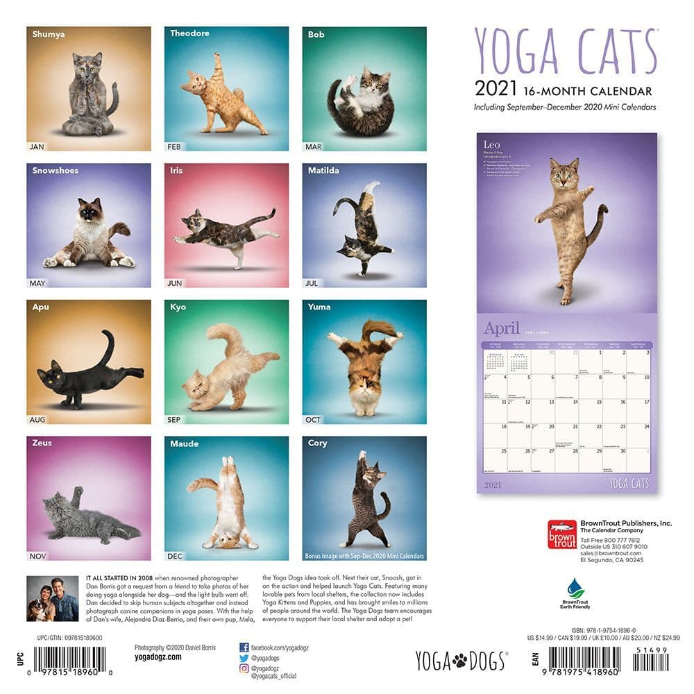 Yoga Cats Wall Calendar