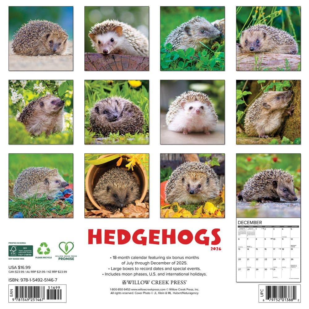Hedgehogs 2026 Wall Calendar First Alternate image