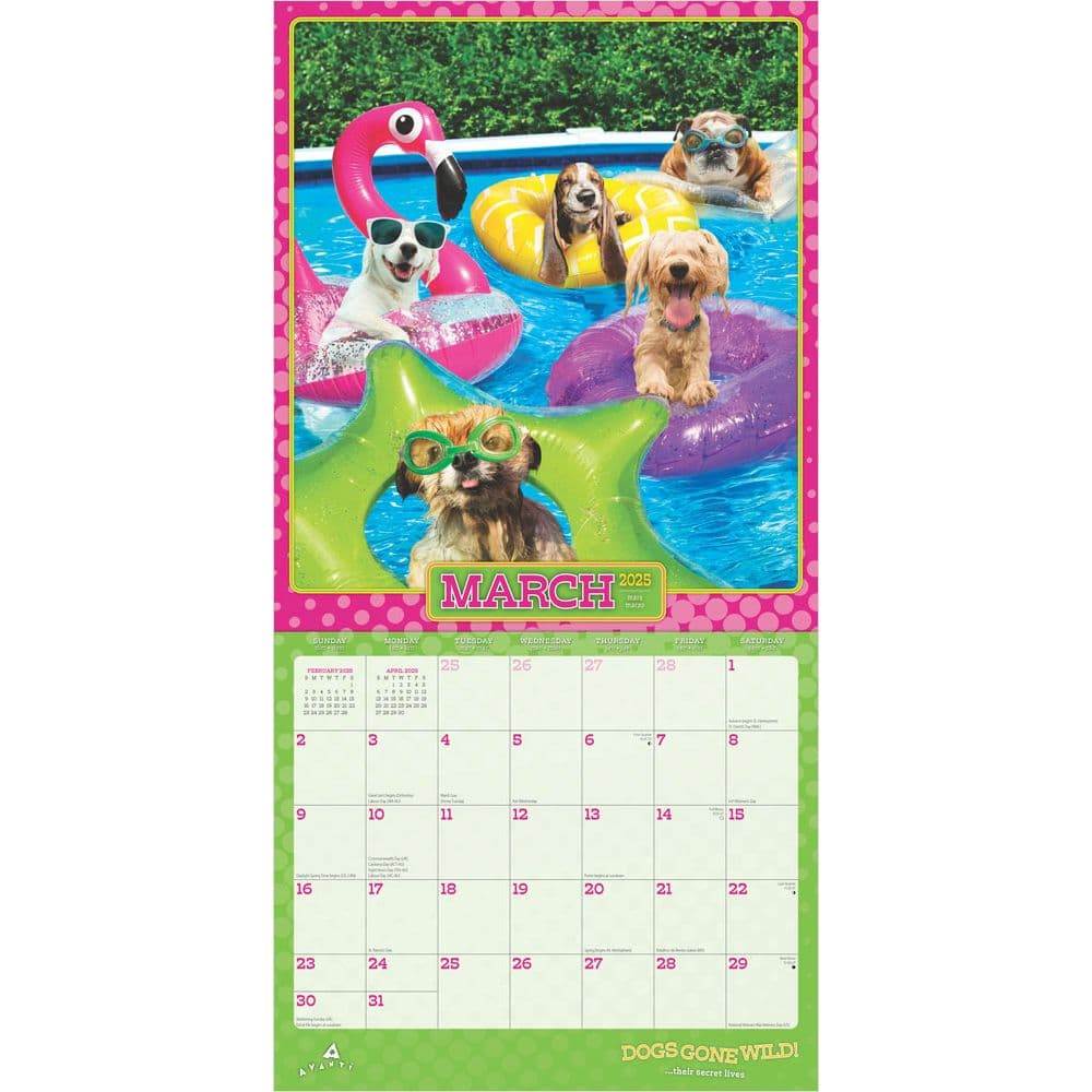 Avanti Dog Days 2025 Wall Calendar First Alternate Image width=&quot;1000&quot; height=&quot;1000&quot;