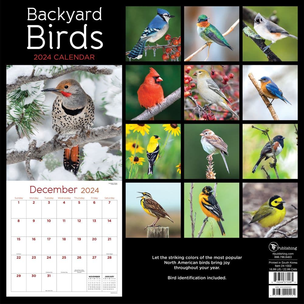 Backyard Birds 2024 Wall Calendar First Alternate Image width="1000" height="1000"