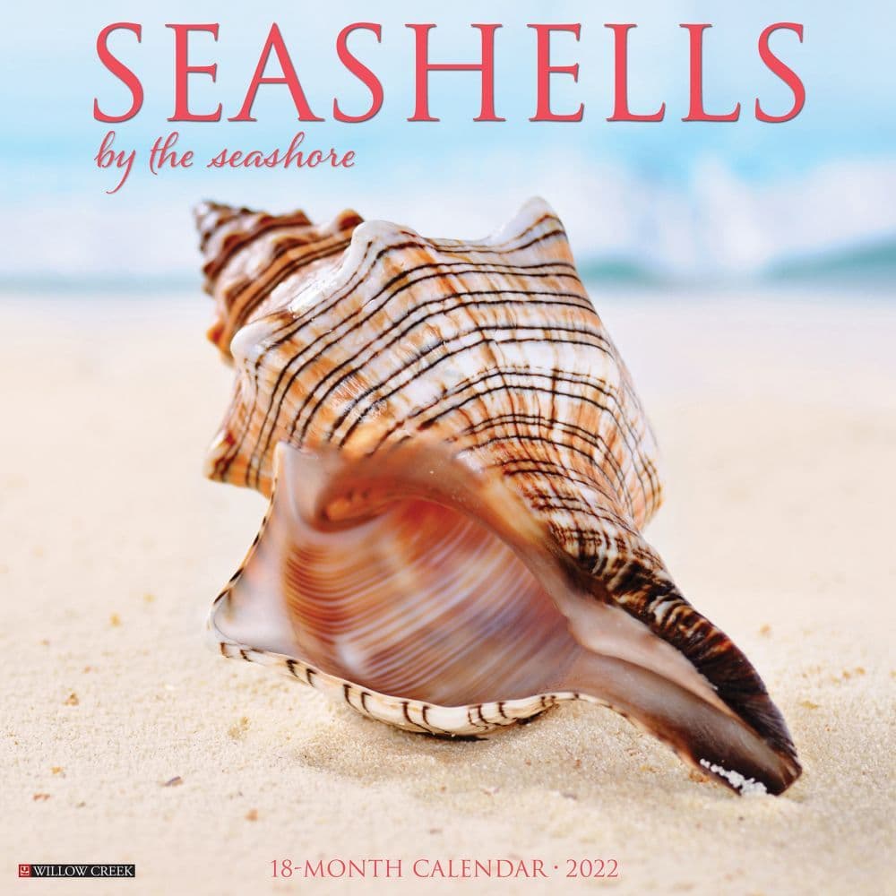 Sea Shells 2022 Wall Calendar