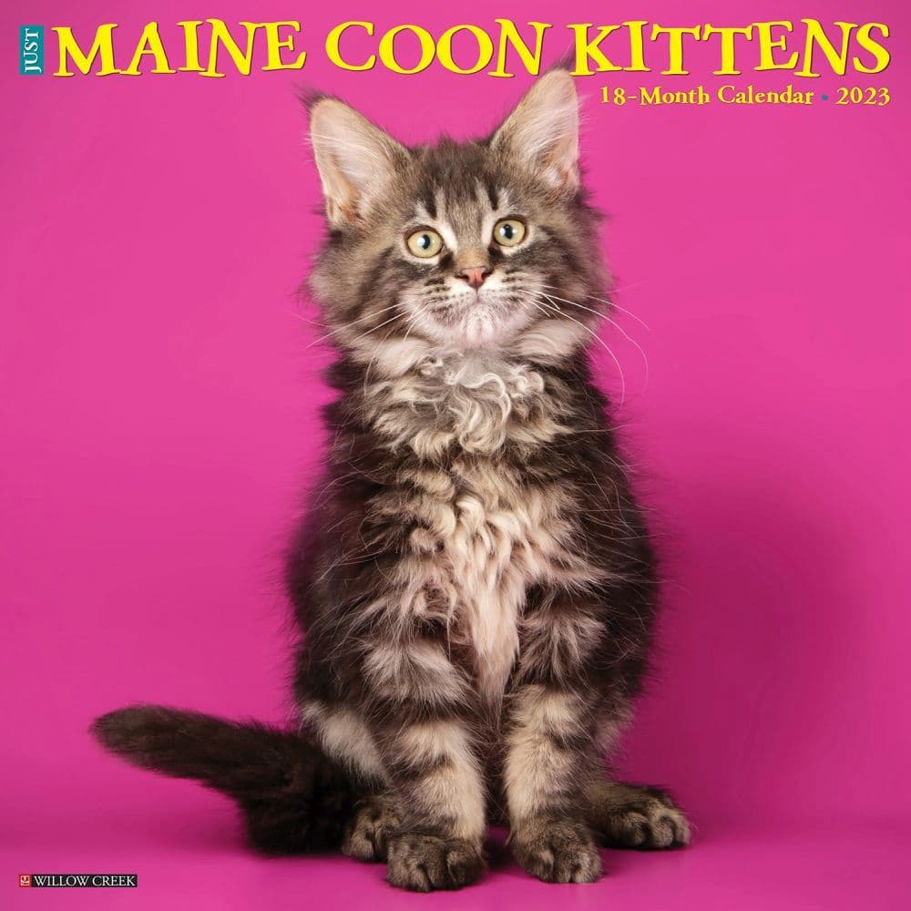 Maine Calendar 2023 Maine Coon Kittens 2023 Wall Calendar - Calendars.com