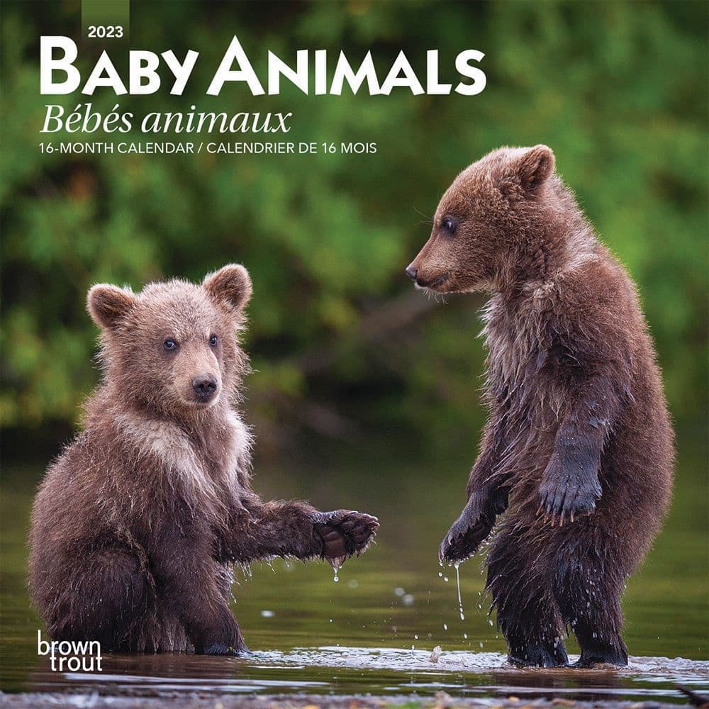 BrownTrout Baby Animals 2023 Mini Wall Calendar