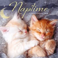 image Naptime 2026 Mini Wall Calendar Main Image