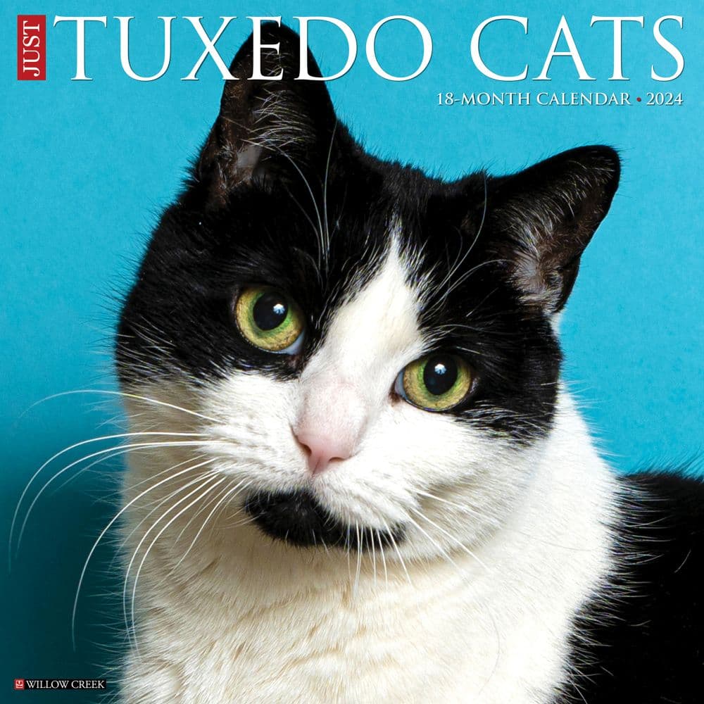 Cats Tuxedo 2024 Wall Calendar