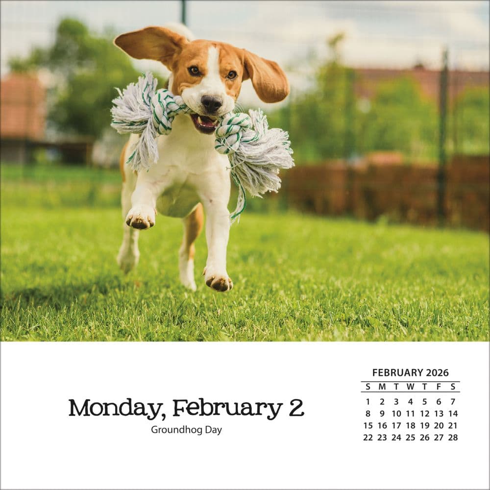 Dogs And Puppies 2026 Desk Calendar_ALT3