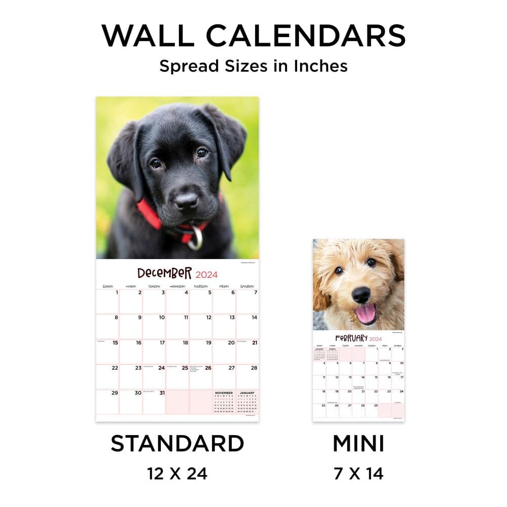 Puppies 2024 Wall Calendar Fifth Alternate Image width=&quot;1000&quot; height=&quot;1000&quot;