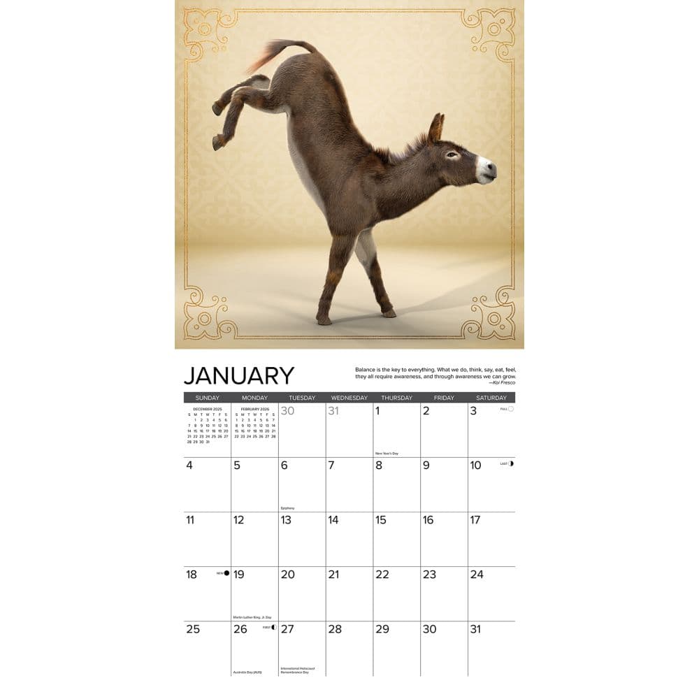 Jackass Yoga 2026 Wall Calendar Second Alternate Image