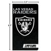 image NFL Las Vegas Raiders 17 Month 2025 Pocket Planner