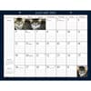 image American Cat by Lowell Herrero 2025 Desk Pad First Alternate Image width=&quot;1000&quot; height=&quot;1000&quot;