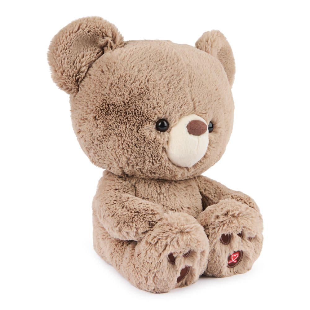 Kai Teddy Bear Plush Eighth Alternate Image
