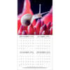 image Larger Than Life Photo 2026 Wall Calendar