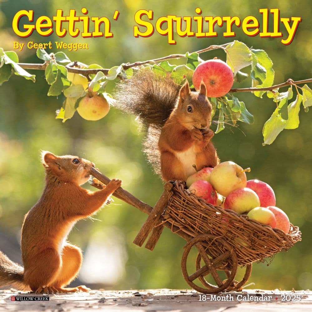 Gettin Squirrelly 2025 Mini Wall Calendar Main Product Image width=&quot;1000&quot; height=&quot;1000&quot;