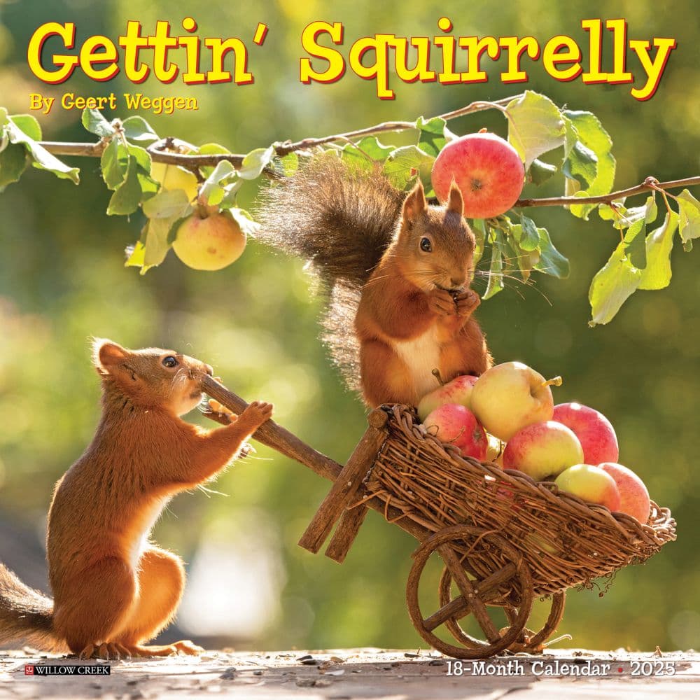 Gettin Squirrelly 2025 Mini Wall Calendar