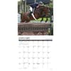 image Hunter Jumper 2025 Wall Calendar Second Alternate Image width="1000" height="1000"