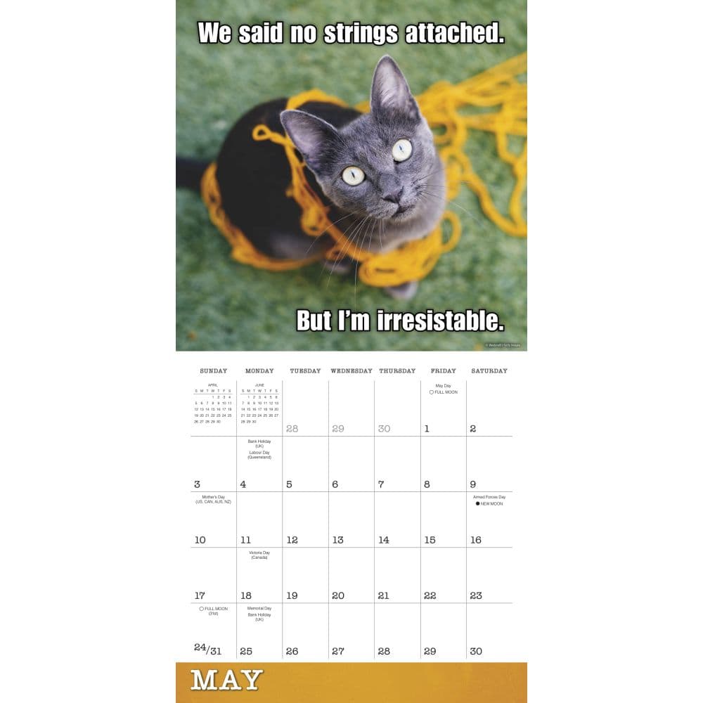 Meow Memes 2026 Wall Calendar Third Alternate Image
