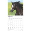 image Quarter Horses 2025 Wall Calendar