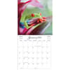 image Costa Rica 2025 Wall Calendar