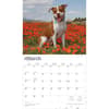 image Pit Bull Terriers Deluxe 2026 Wall Calendar