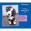 image We Rate Dogs 2026 Desk Calendar Fourth Alternate Image