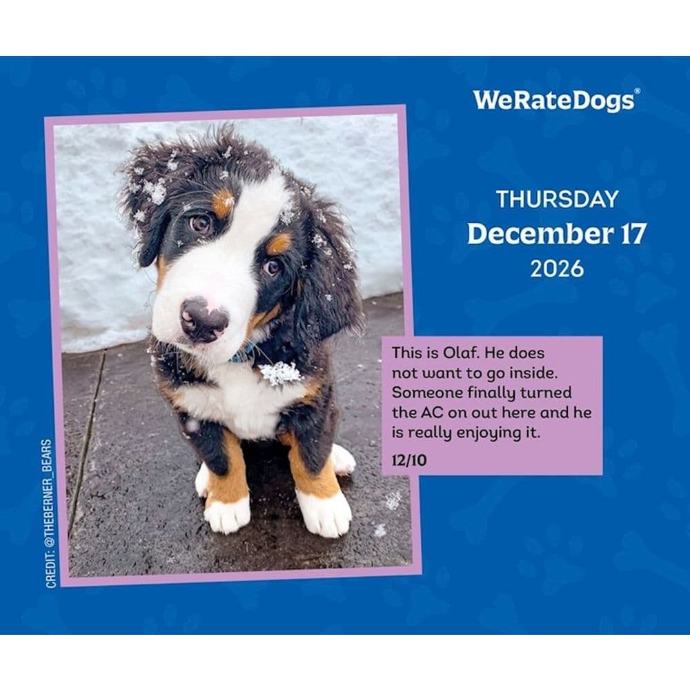 We Rate Dogs 2026 Desk Calendar Fourth Alternate Image