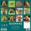 image Quokkas 2025 Wall Calendar