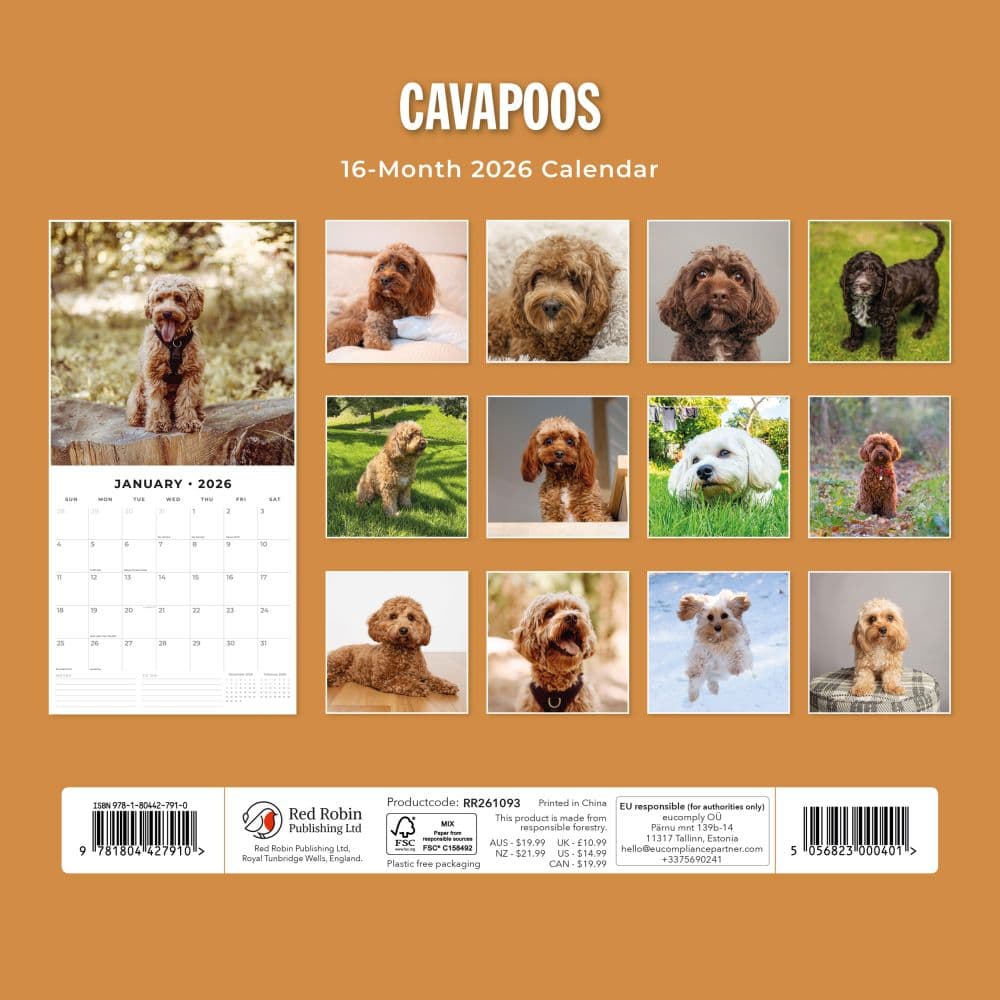 Cavapoos 2026 Wall Calendar First Alternate Image