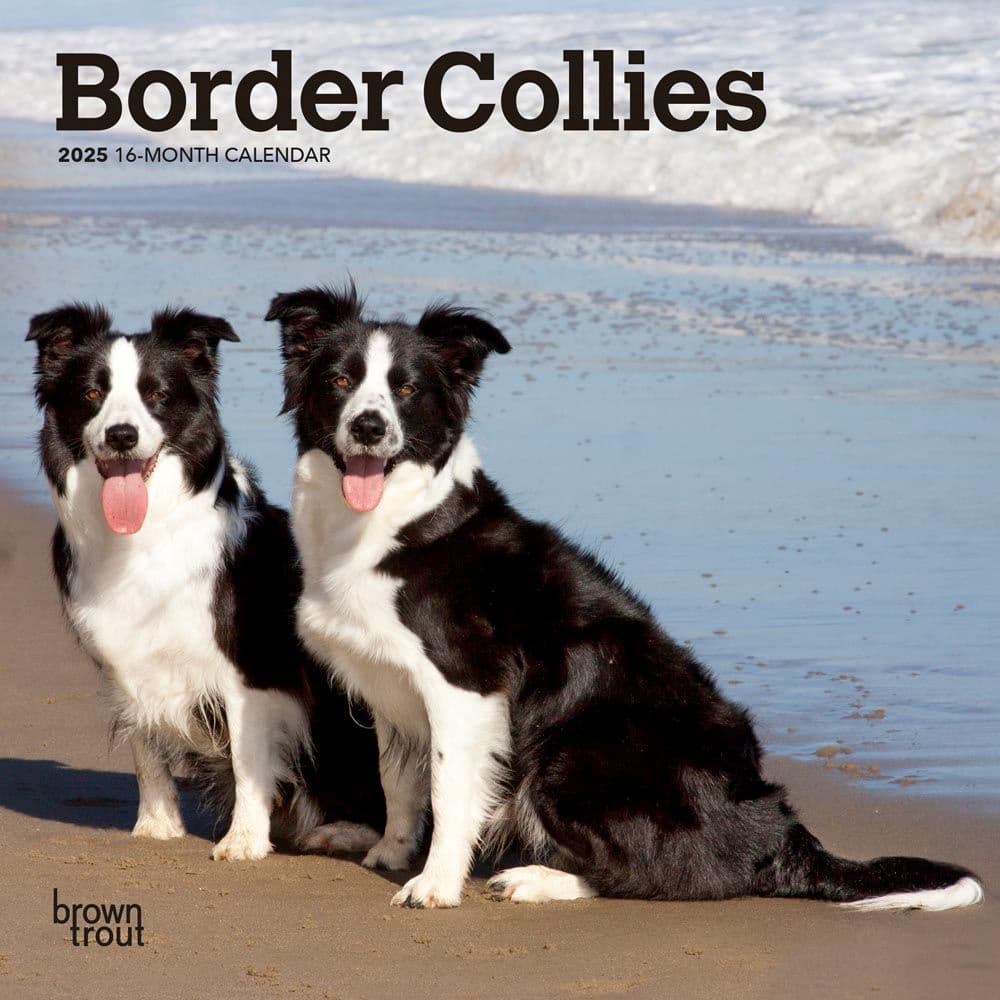 Border Collies 2025 Mini Wall Calendar