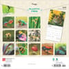 image Frogs 2025 Wall Calendar First Alternate Image width=&quot;1000&quot; height=&quot;1000&quot;