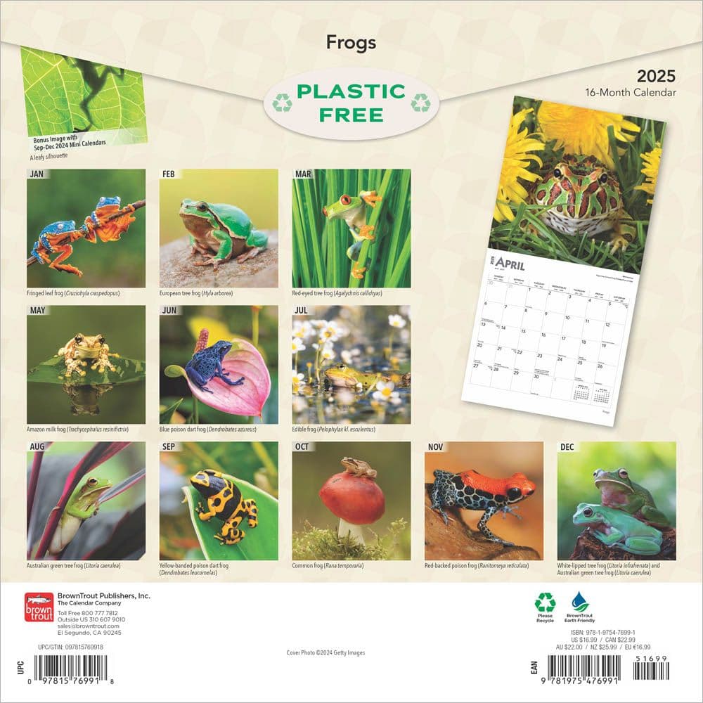 Frogs 2025 Wall Calendar First Alternate Image width=&quot;1000&quot; height=&quot;1000&quot;