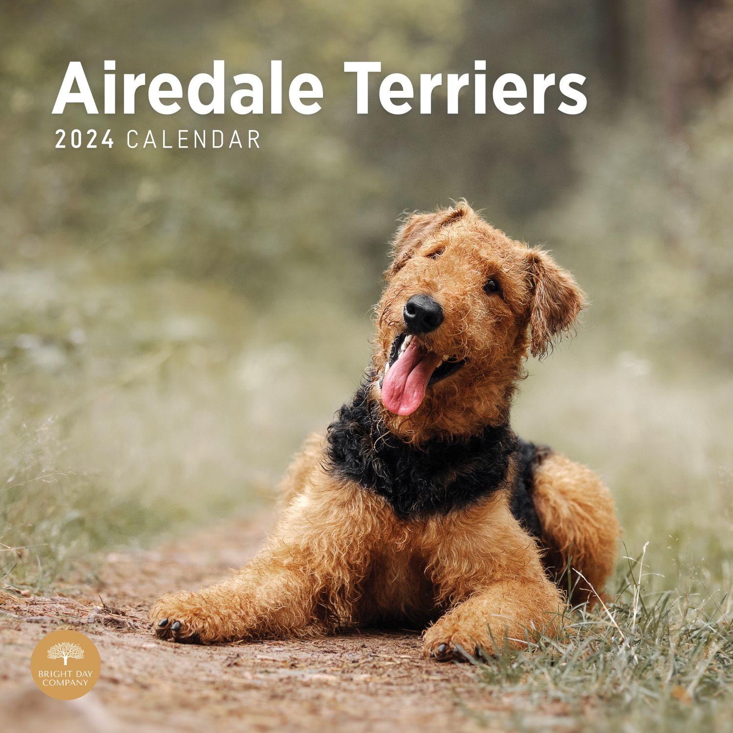 Airedale Terriers 2023 Wall Calendar lupon.gov.ph