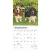 image Basset Hound 2025 Mini Wall Calendar Third Alternate Image width=&quot;1000&quot; height=&quot;1000&quot;