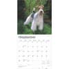 image Fox Terriers 2025 Wall Calendar