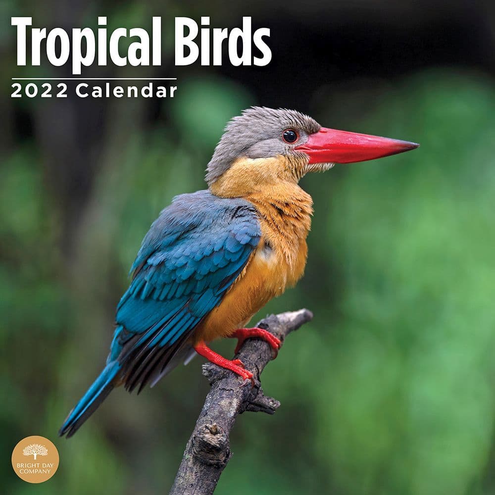 Tropical Birds 2022 Wall Calendar