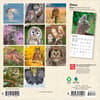 image Owls 2026 Mini Wall Calendar