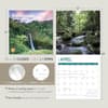 image Rainforests 2024 Wall Calendar