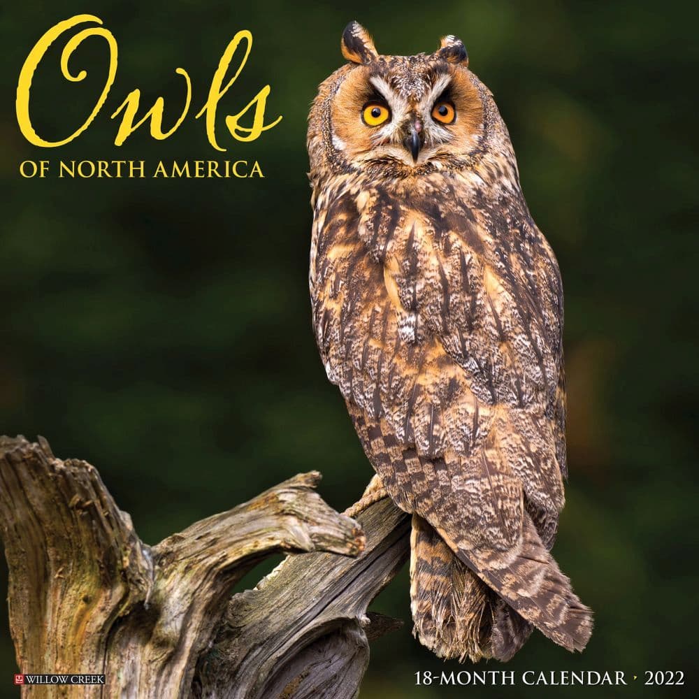 Owls 2022 Wall Calendar