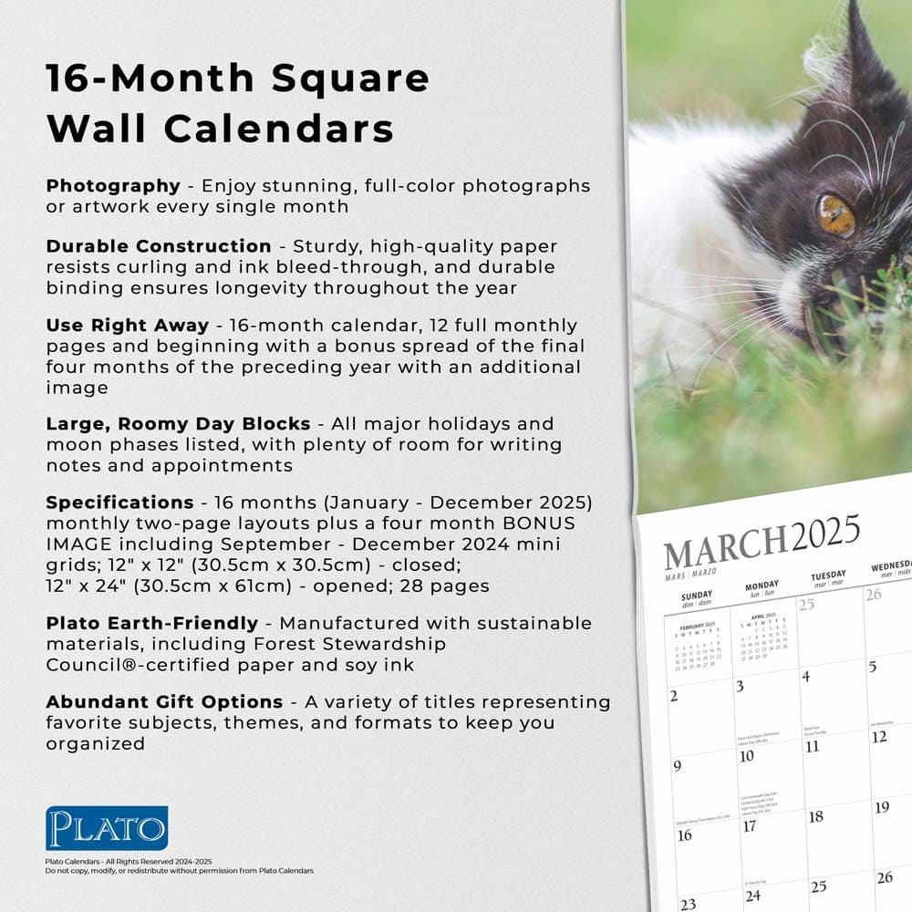 I Love Cats Plato 2025 Wall Calendar Fifth Alternate Image width=&quot;1000&quot; height=&quot;1000&quot;