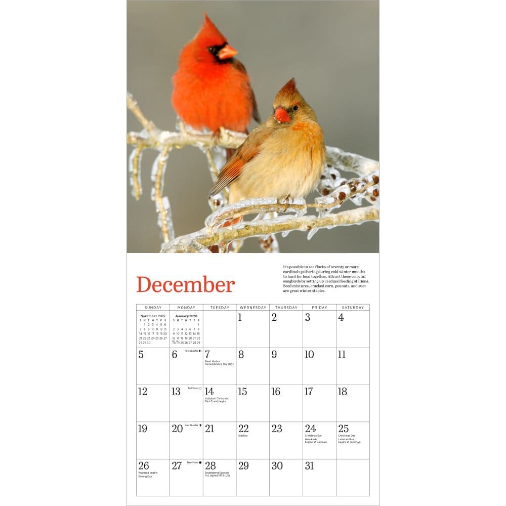 Audubon Cardinals 2027 Mini Wall Calendar Fourth Alternate Image