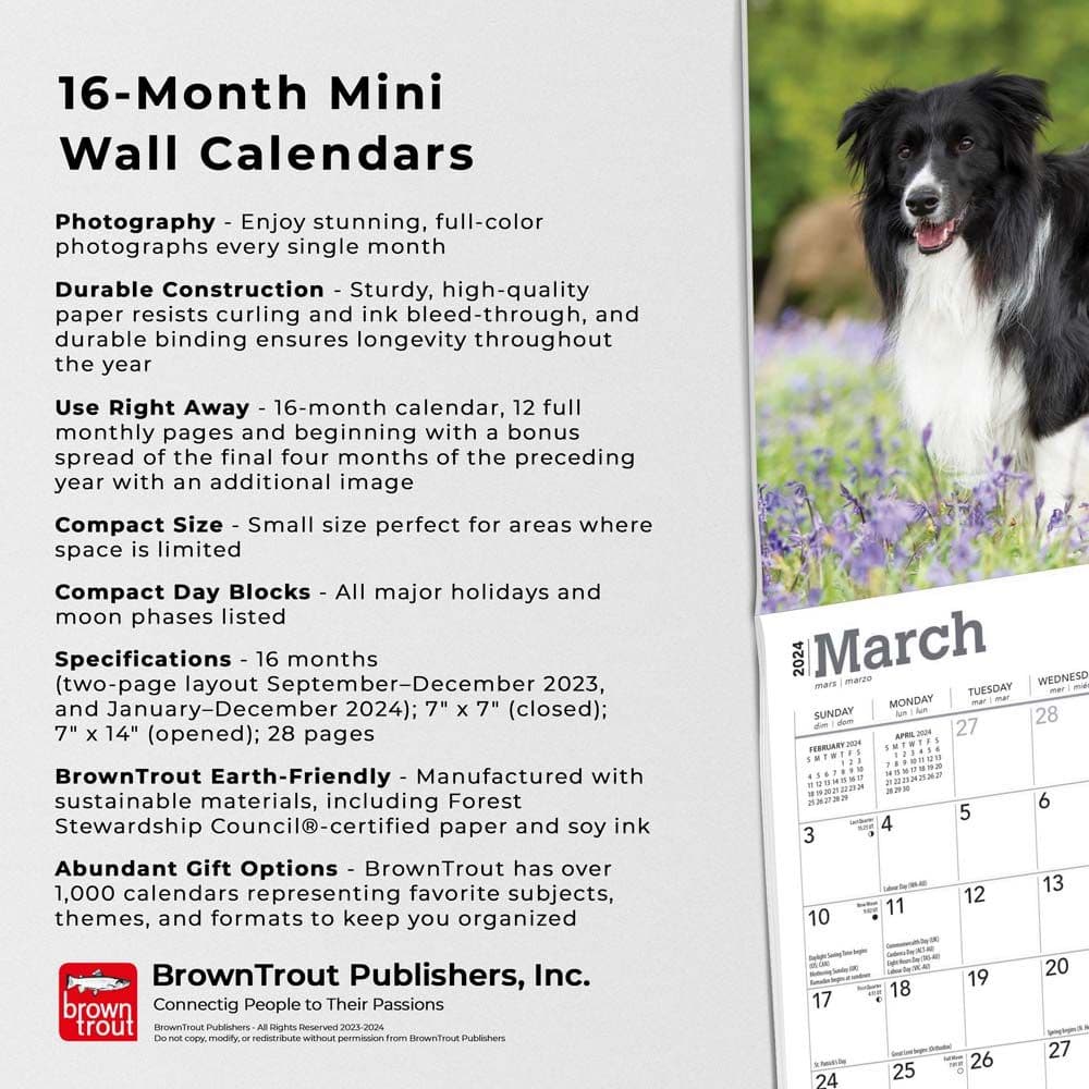 Border Collies 2024 Mini Wall Calendar