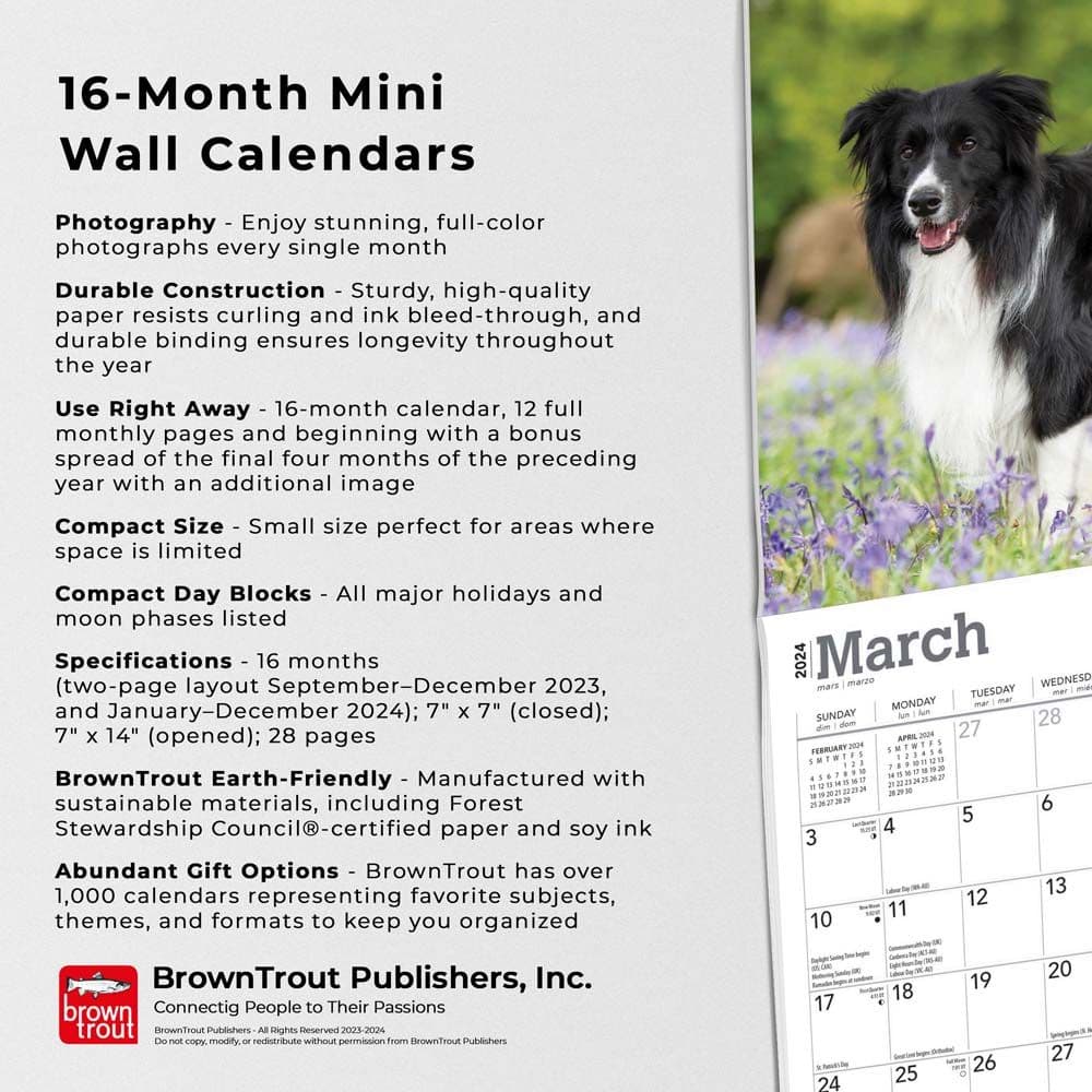 Border Collies 2024 Mini Wall Calendar Fourth Alternate Image width=&quot;1000&quot; height=&quot;1000&quot;