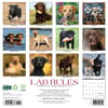 image Lab Rules 2025 Wall Calendar First Alternate Image width="1000" height="1000"