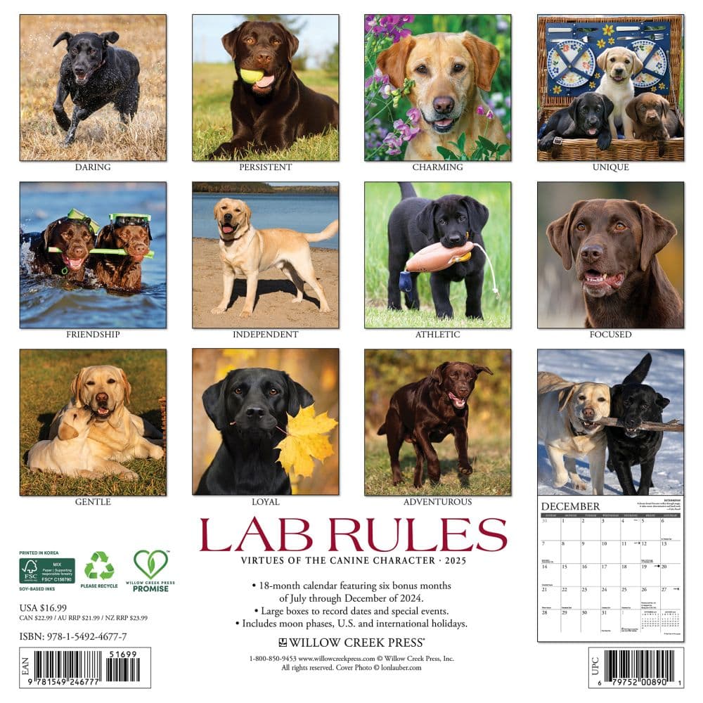 Lab Rules 2025 Wall Calendar First Alternate Image width="1000" height="1000"