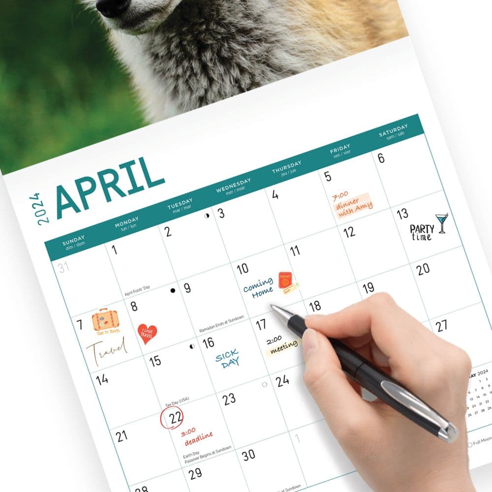 Foxes 2024 Wall Calendar Fourth Alternate Image width=&quot;1000&quot; height=&quot;1000&quot;