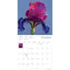 image Blooms by Nel 2025 Wall Calendar Third Alternate Image