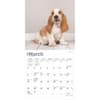 image Basset Hound 2025 Mini Wall Calendar Second Alternate Image width=&quot;1000&quot; height=&quot;1000&quot;