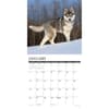 image Just Siberian Huskies 2025 Wall Calendar Second Alternate Image width=&quot;1000&quot; height=&quot;1000&quot;