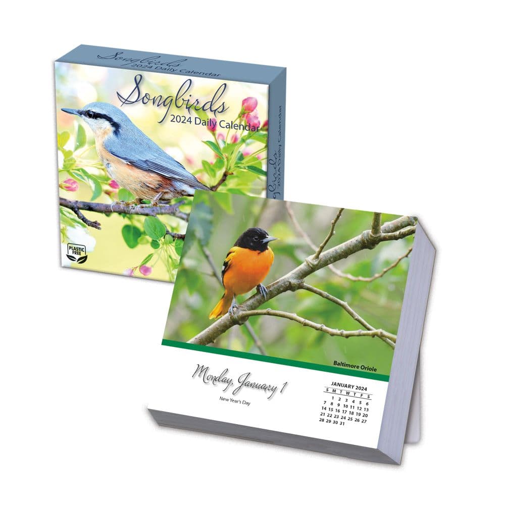 Songbirds 2024 Desk Calendar Alternate Image 1